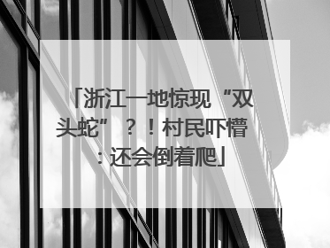 浙江一地惊现“双头蛇”？！村民吓懵：还会倒着爬